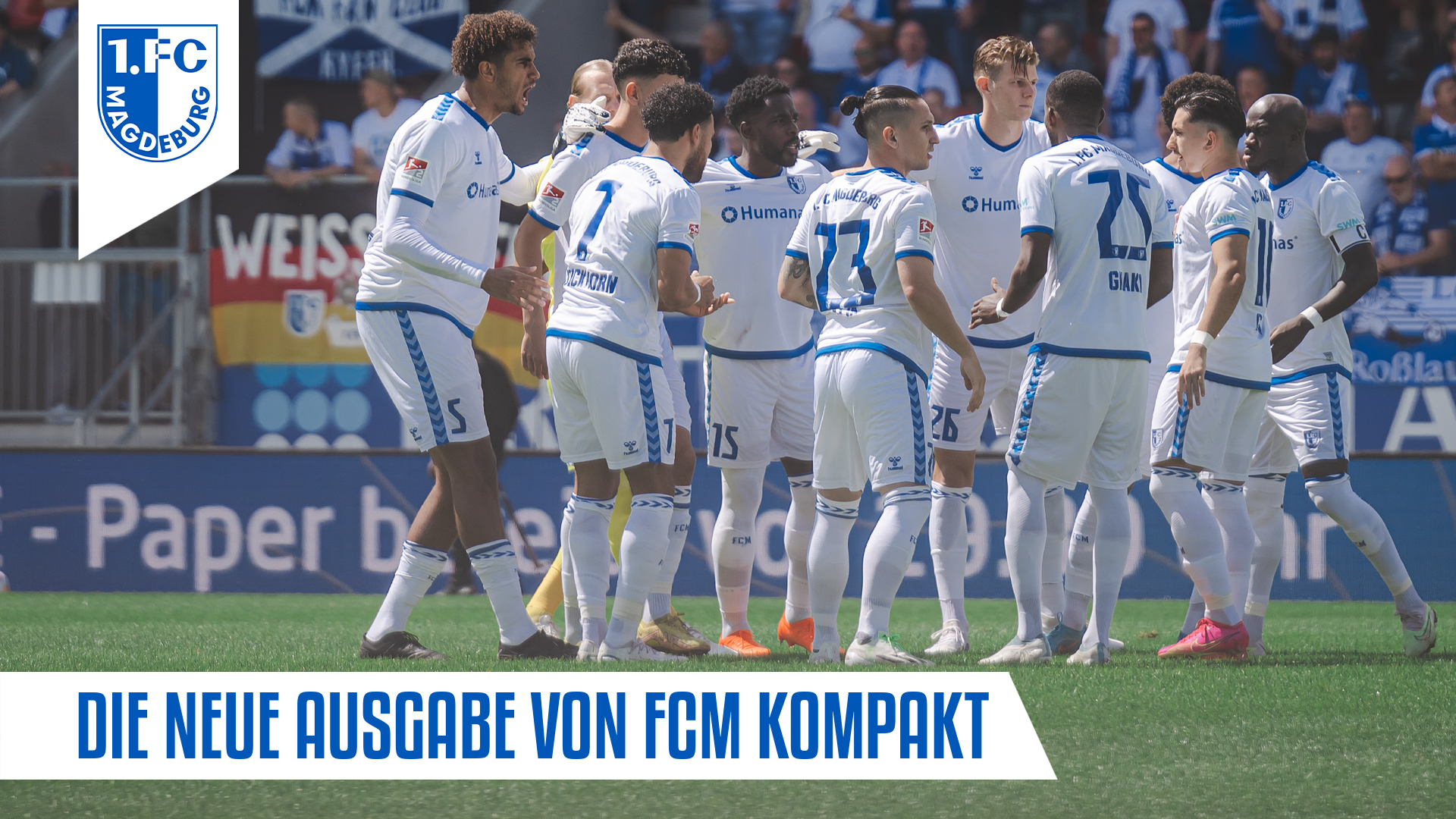 Mannschaft 1. FC Magdeburg