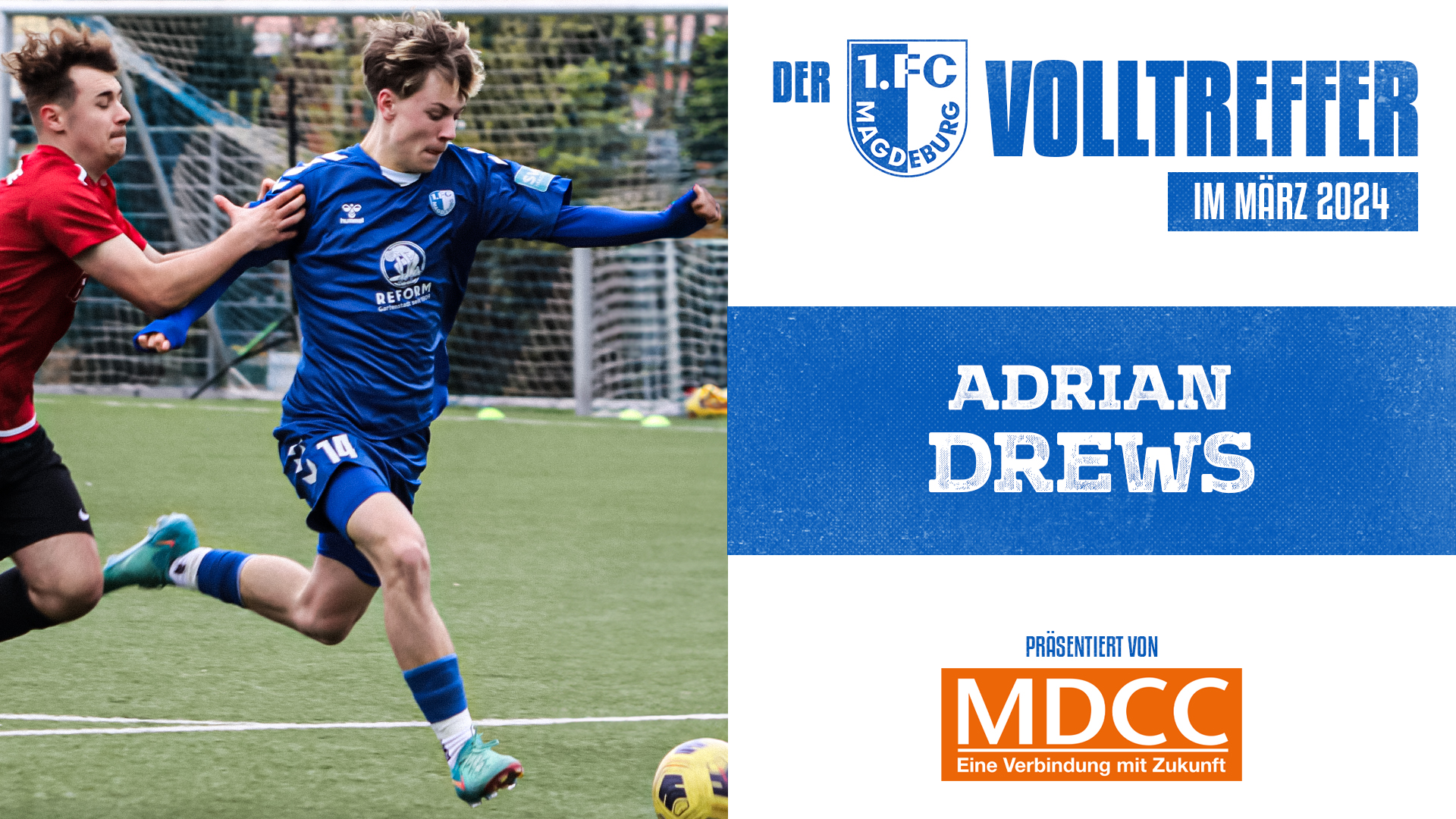 Volltreffer des Monats