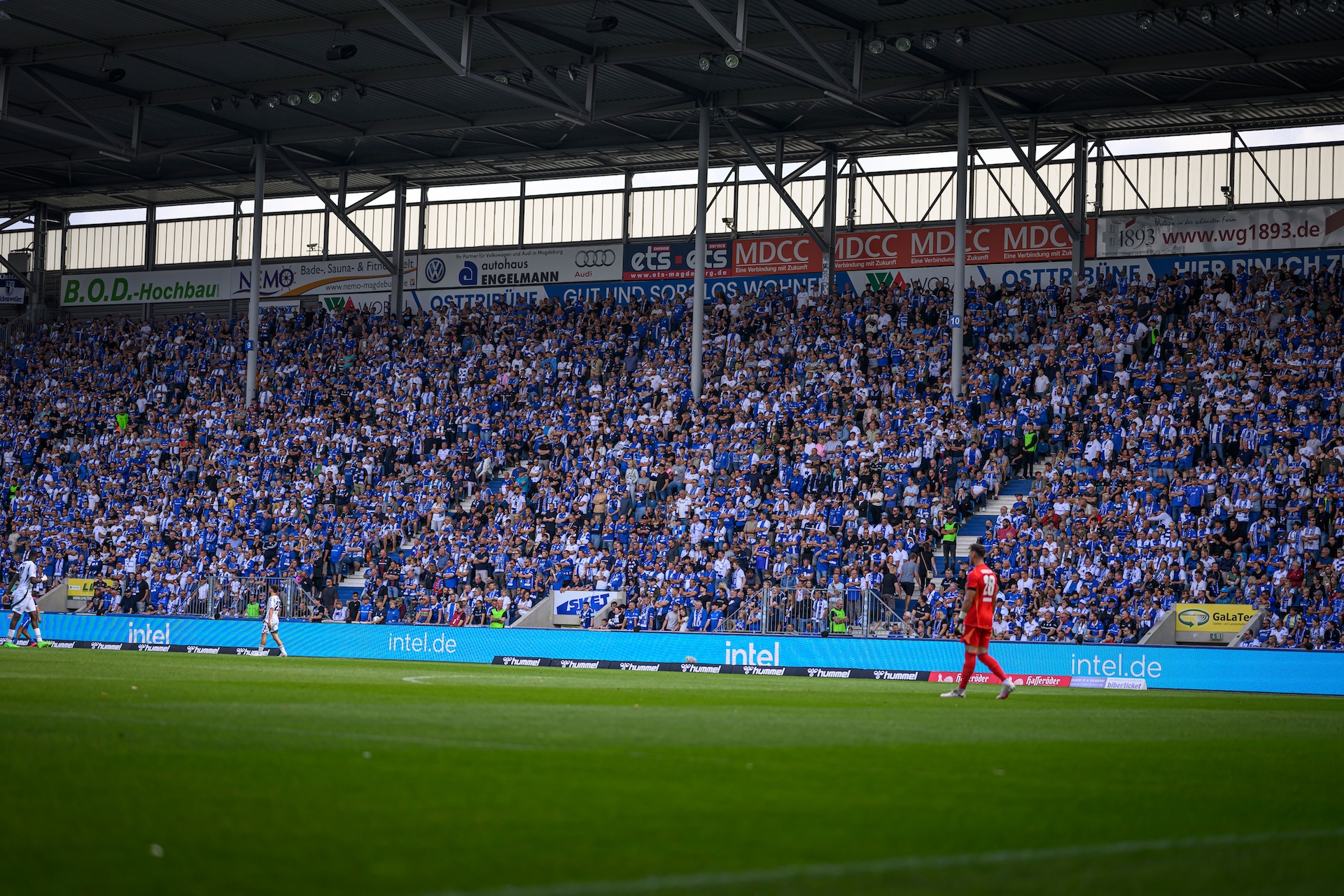 Avnet Arena Fanblock