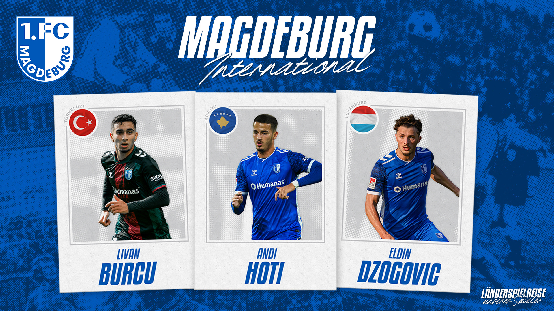 Livan Burcu(links), Andi Hoti(mittig), Eldin Dzogovic(rechts)