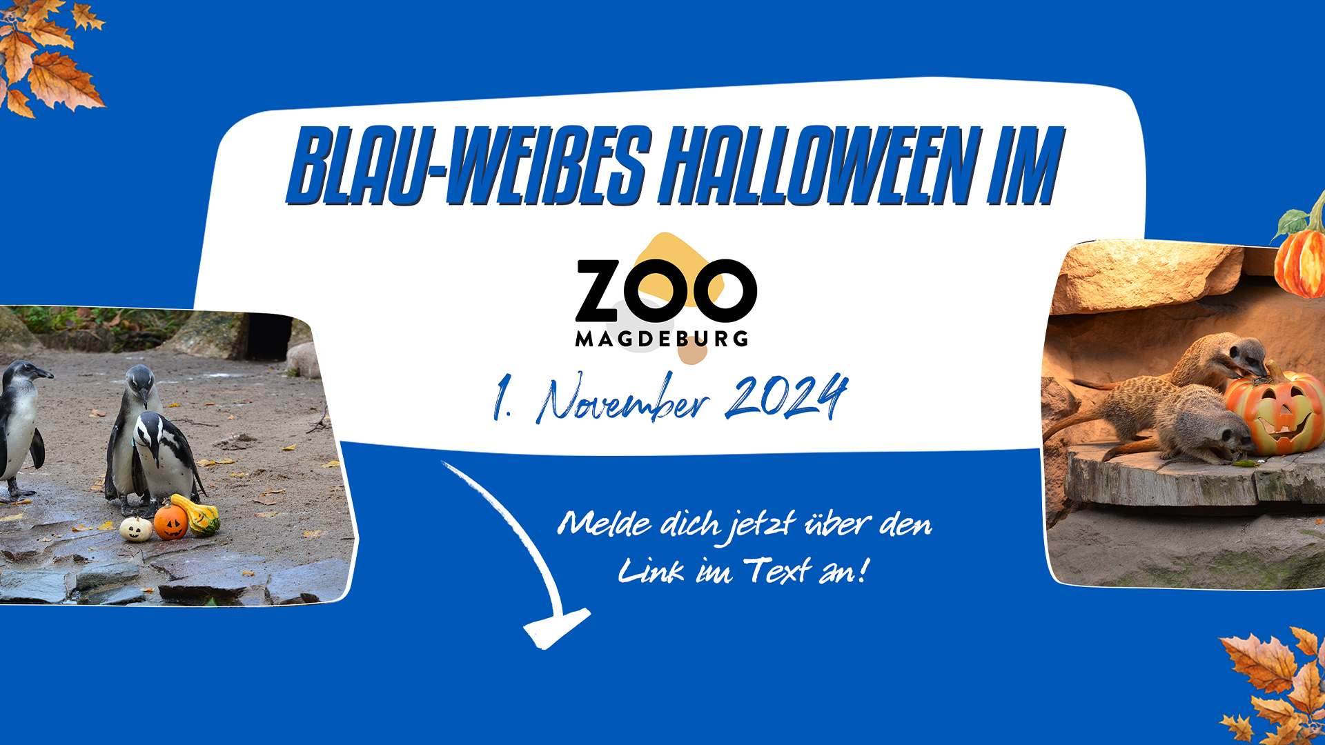 Halloween im Zoo