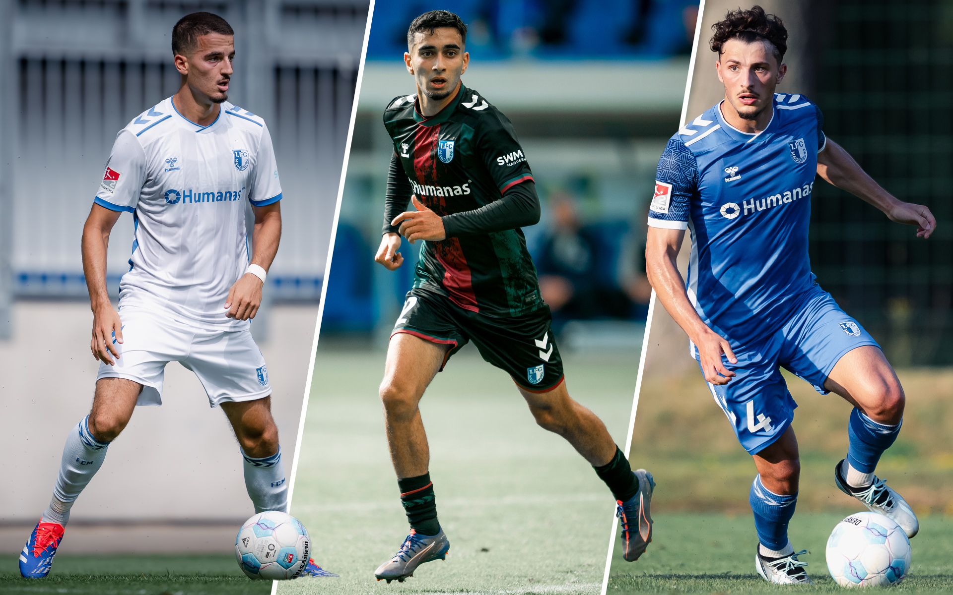 Andi Hoti(links), Livan Burcu(mittig), Eldin Dzogovic(rechts)