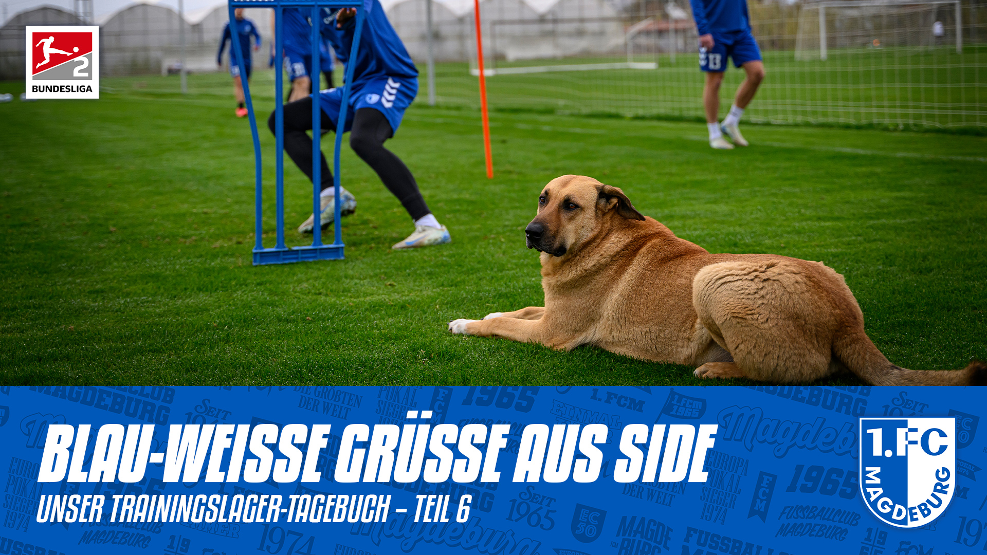 Trainingslager Tagebuch Tag 13