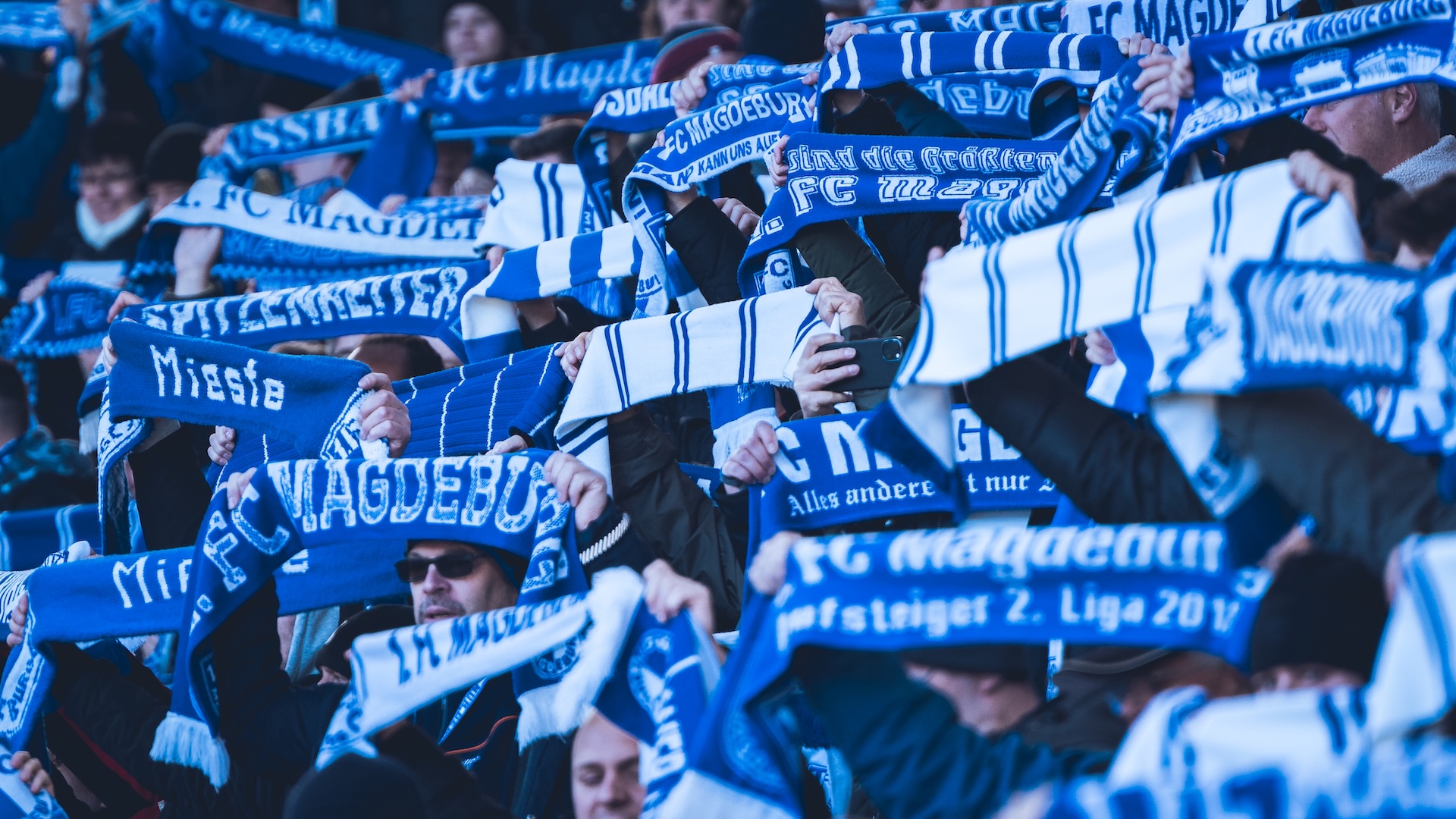 Fans in der Avnet Arena