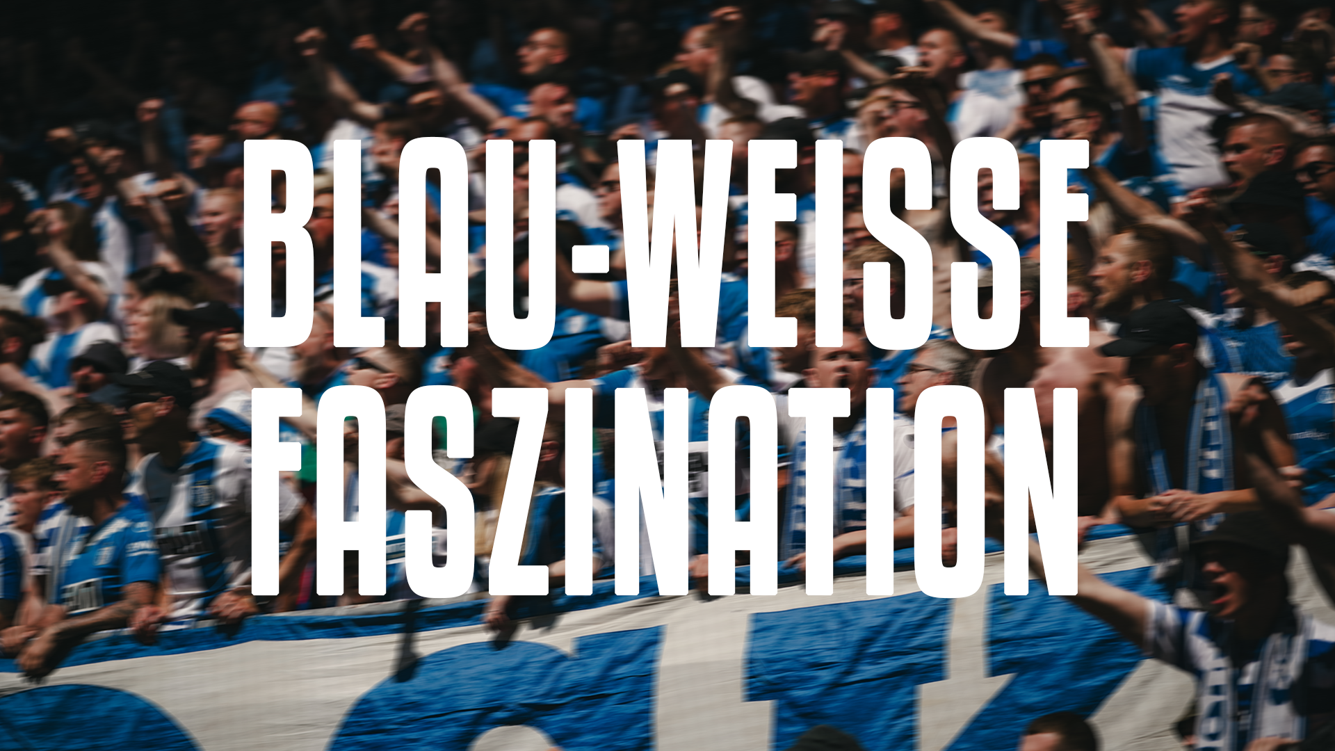 Blau-Weiße Faszination
