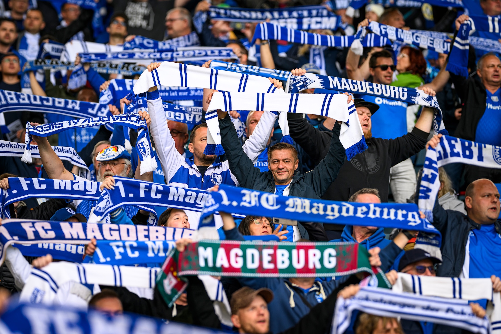 Fans in der Avnet Arena