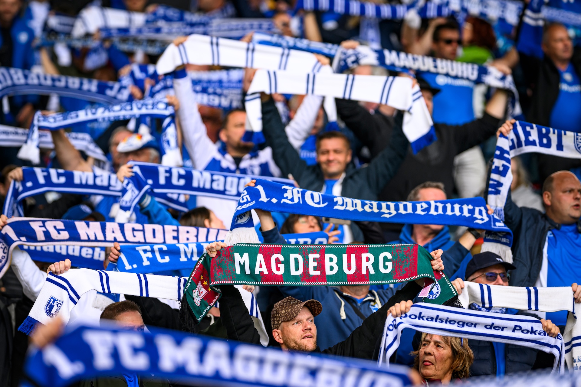 Fans in der Avnet Arena