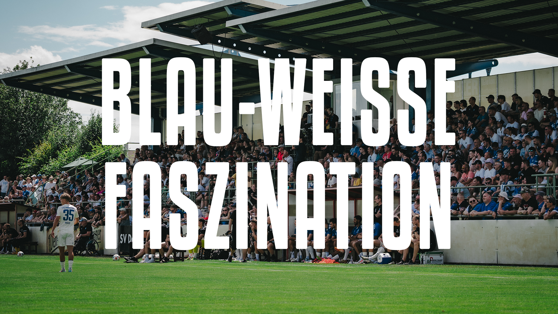 Blau-Weiße Faszination