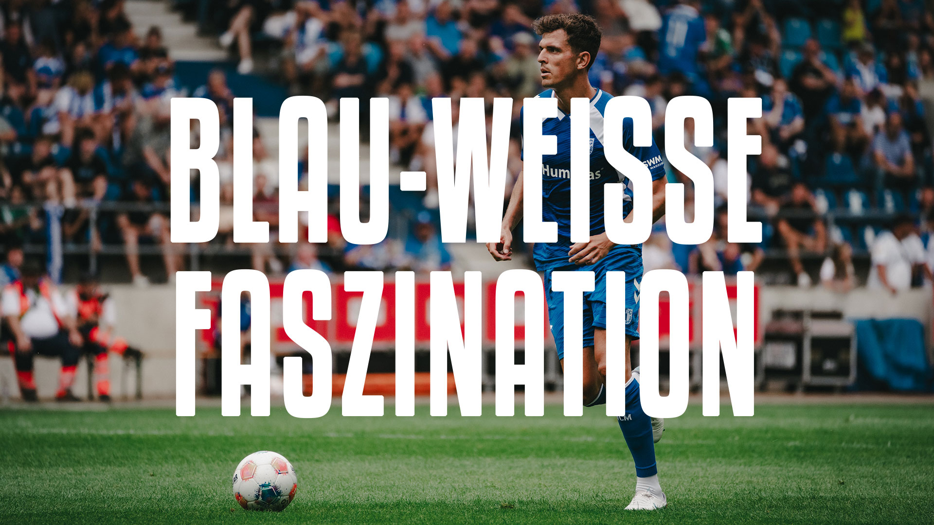 Blau-Weiße Faszination