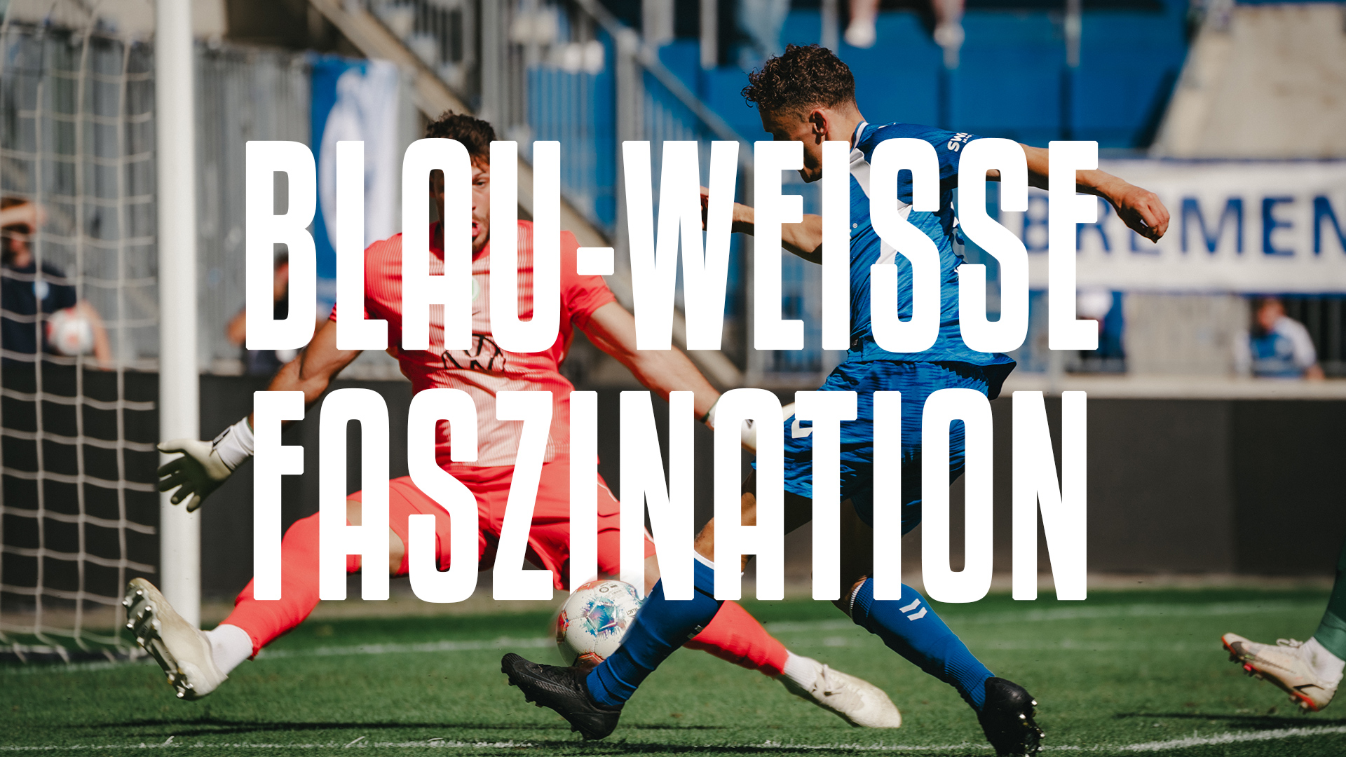 Blau-Weiße Faszination #9