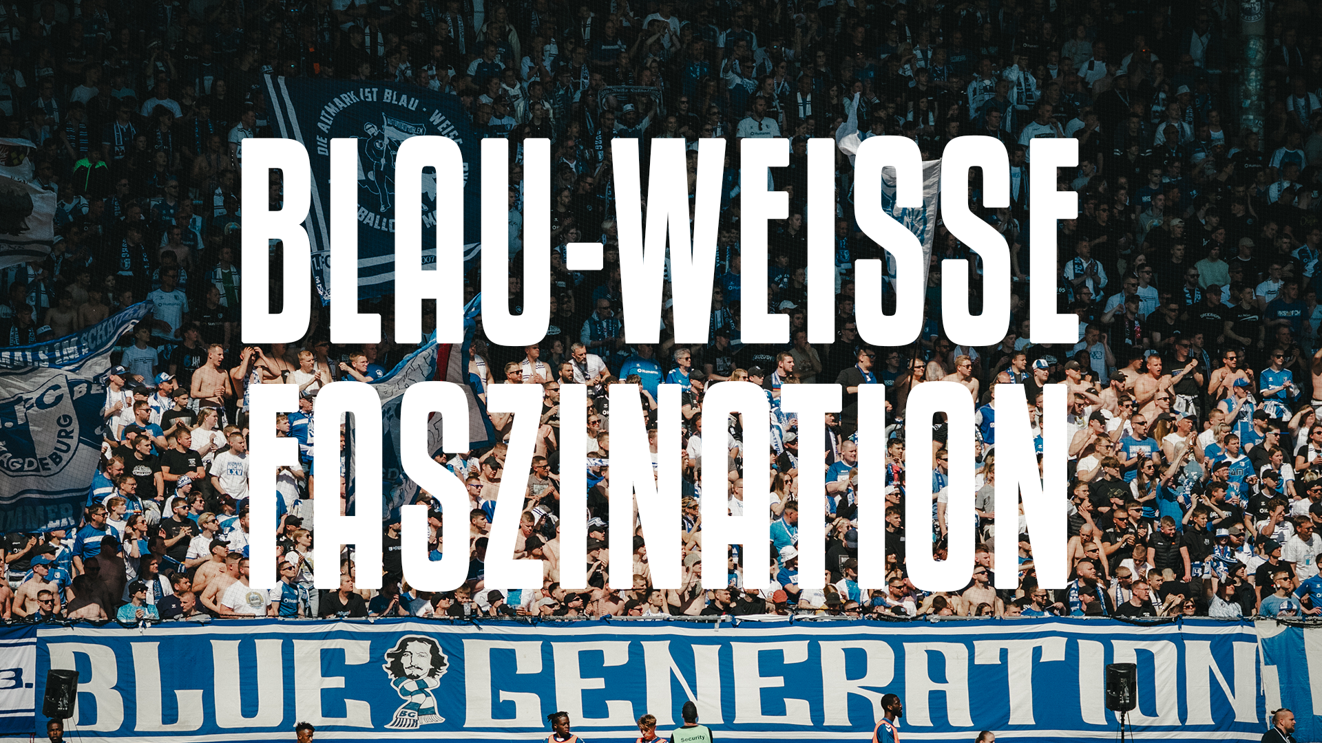 Blau-Weiße Faszination