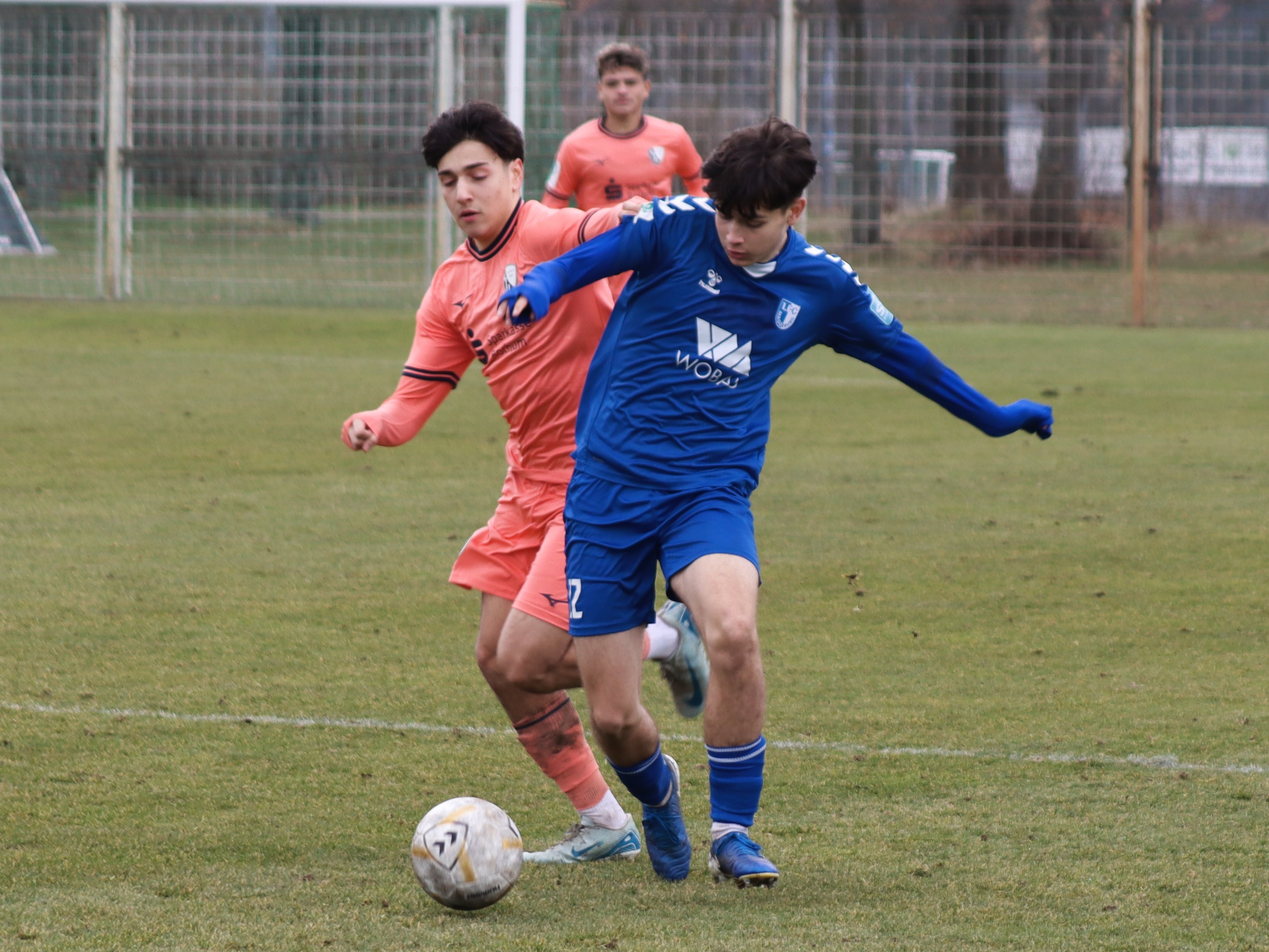 U17 im Duell gegen den VfL Bochum