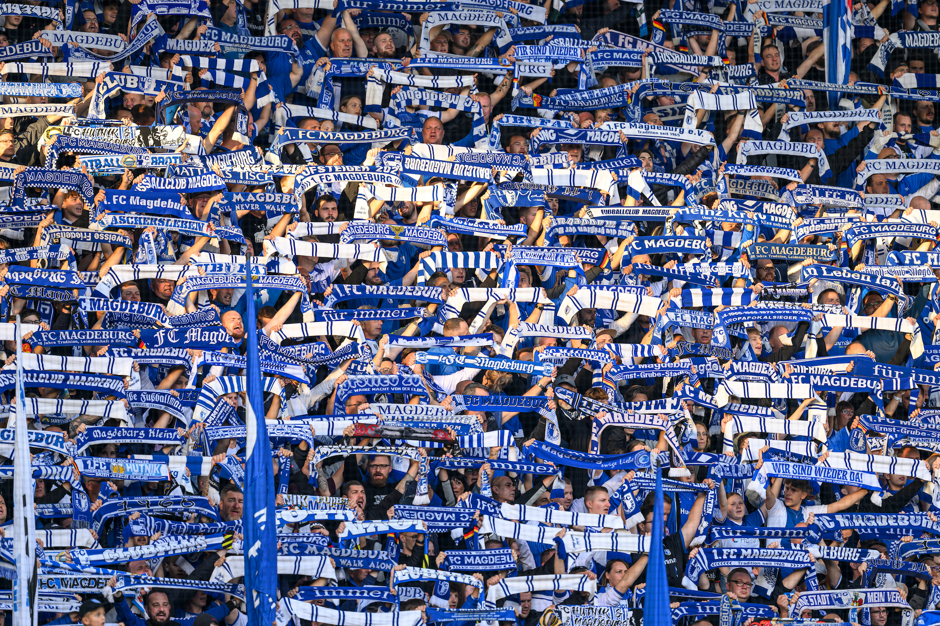 Fans 1. FC Magdeburg