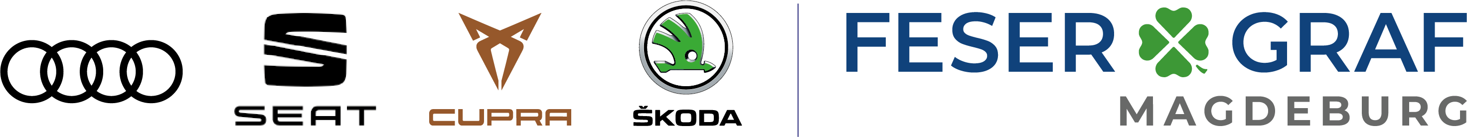 Feser Magdeburg GmbH Logo